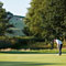 Lone golfer, dawn putting at the 8th hole ("Pheasant Run")